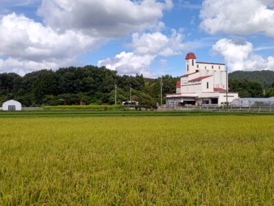 2024年度さんやほうサポータークラブ活動記録第４回～収穫編～